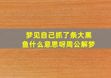 梦见自己抓了条大黑鱼什么意思呀周公解梦