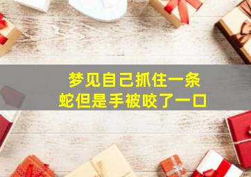 梦见自己抓住一条蛇但是手被咬了一口