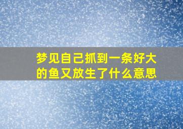 梦见自己抓到一条好大的鱼又放生了什么意思