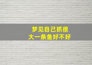 梦见自己抓很大一条鱼好不好