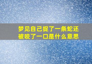 梦见自己捉了一条蛇还被咬了一口是什么意思