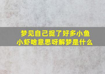 梦见自己捉了好多小鱼小虾啥意思呀解梦是什么