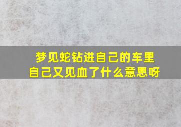 梦见蛇钻进自己的车里自己又见血了什么意思呀