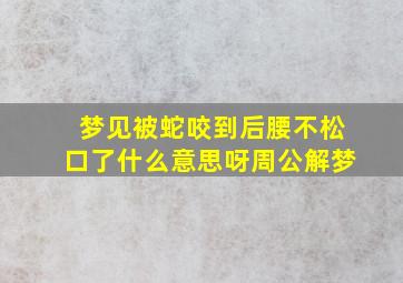 梦见被蛇咬到后腰不松口了什么意思呀周公解梦