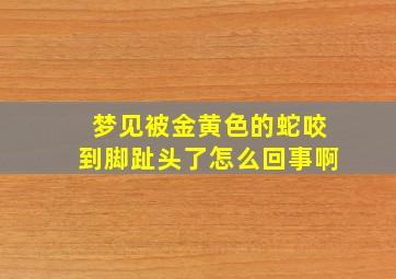 梦见被金黄色的蛇咬到脚趾头了怎么回事啊