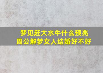 梦见赶大水牛什么预兆周公解梦女人结婚好不好