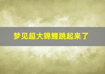 梦见超大锦鲤跳起来了