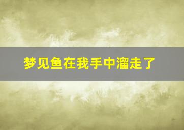 梦见鱼在我手中溜走了