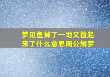 梦见鱼掉了一地又捡起来了什么意思周公解梦