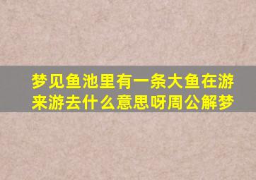 梦见鱼池里有一条大鱼在游来游去什么意思呀周公解梦