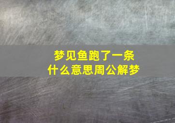 梦见鱼跑了一条什么意思周公解梦