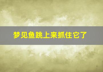 梦见鱼跳上来抓住它了