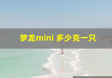 梦龙mini 多少克一只