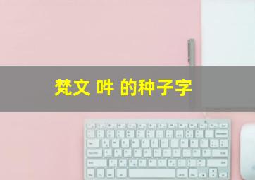 梵文 吽 的种子字