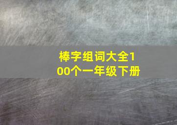 棒字组词大全100个一年级下册