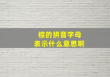 棕的拼音字母表示什么意思啊