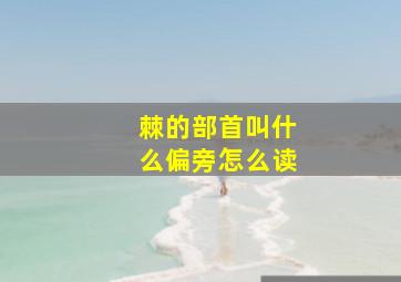 棘的部首叫什么偏旁怎么读