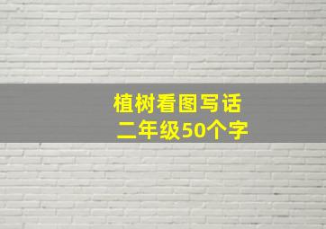 植树看图写话二年级50个字