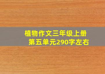 植物作文三年级上册第五单元290字左右