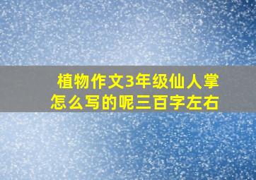 植物作文3年级仙人掌怎么写的呢三百字左右