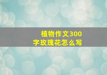 植物作文300字玫瑰花怎么写