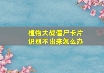 植物大战僵尸卡片识别不出来怎么办