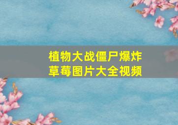 植物大战僵尸爆炸草莓图片大全视频