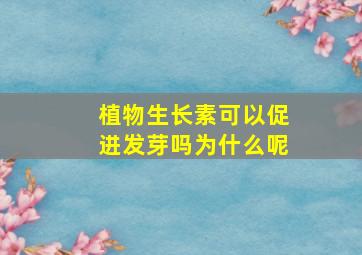 植物生长素可以促进发芽吗为什么呢