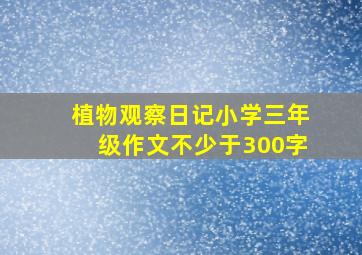 植物观察日记小学三年级作文不少于300字