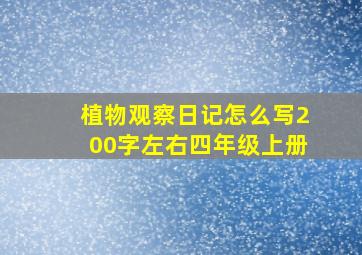 植物观察日记怎么写200字左右四年级上册