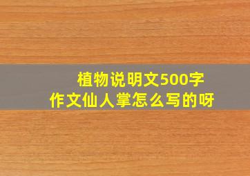 植物说明文500字作文仙人掌怎么写的呀