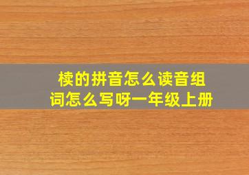 椟的拼音怎么读音组词怎么写呀一年级上册