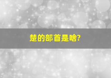 楚的部首是啥?