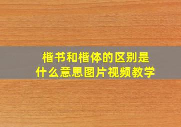 楷书和楷体的区别是什么意思图片视频教学