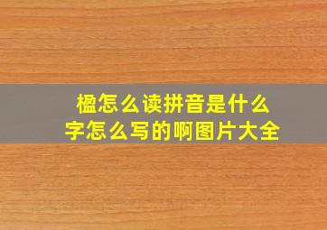 楹怎么读拼音是什么字怎么写的啊图片大全