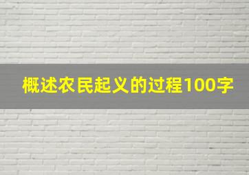 概述农民起义的过程100字