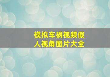 模拟车祸视频假人视角图片大全