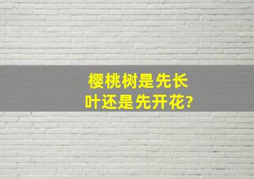 樱桃树是先长叶还是先开花?