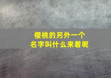 樱桃的另外一个名字叫什么来着呢