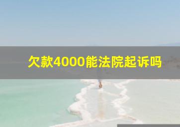 欠款4000能法院起诉吗