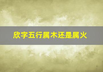 欣字五行属木还是属火