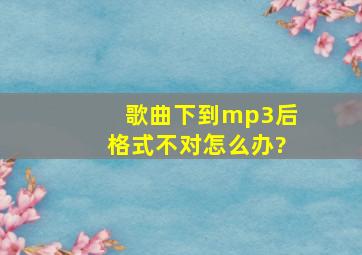 歌曲下到mp3后格式不对怎么办?