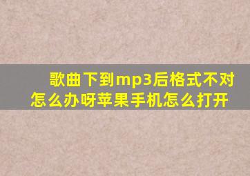 歌曲下到mp3后格式不对怎么办呀苹果手机怎么打开