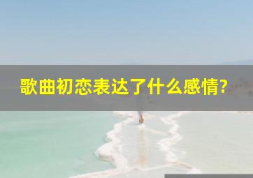 歌曲初恋表达了什么感情?