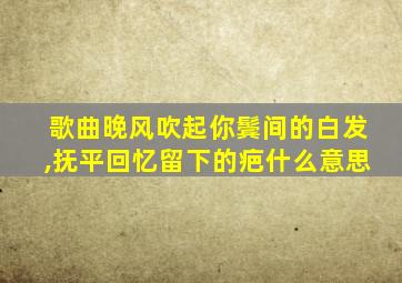 歌曲晚风吹起你鬓间的白发,抚平回忆留下的疤什么意思