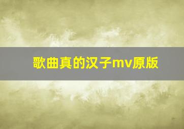 歌曲真的汉子mv原版