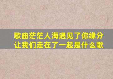 歌曲茫茫人海遇见了你缘分让我们走在了一起是什么歌