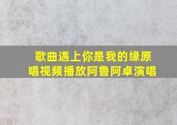 歌曲遇上你是我的缘原唱视频播放阿鲁阿卓演唱