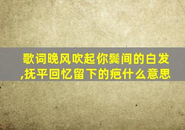 歌词晚风吹起你鬓间的白发,抚平回忆留下的疤什么意思