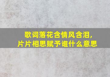 歌词落花含情风含泪,片片相思赋予谁什么意思